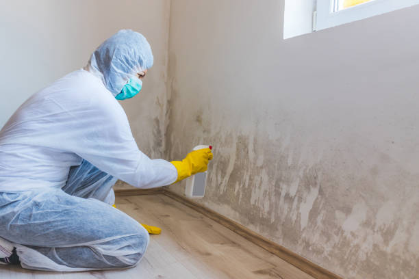 Mold Remediation specialist working in Brunswick